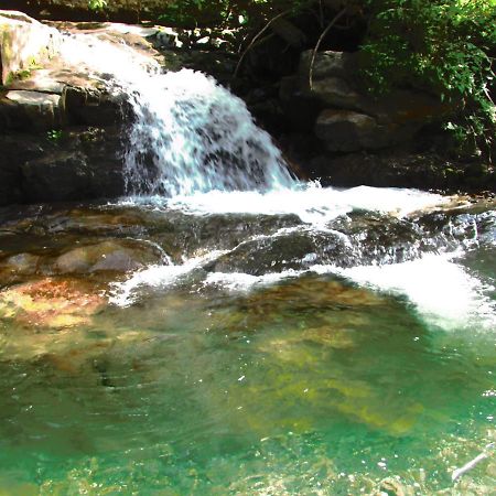 Chalet 294 Mellau Dış mekan fotoğraf