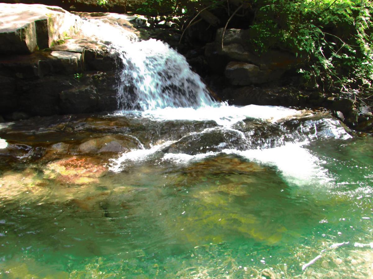 Chalet 294 Mellau Dış mekan fotoğraf